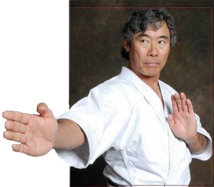 Soke Del Saito