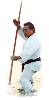 Tadashi Nakamura technique