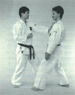 Shihan Keiji Tomiyama demo 3